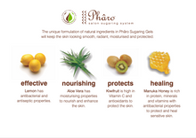 Load image into Gallery viewer, Phâro Firm Gel Pot - Available in 3 Variants